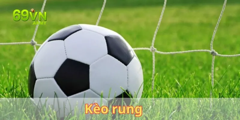 Kèo Rung Là Gì - Bí Kíp Soi Kèo Bóng Đá Chuẩn Chuyên Gia